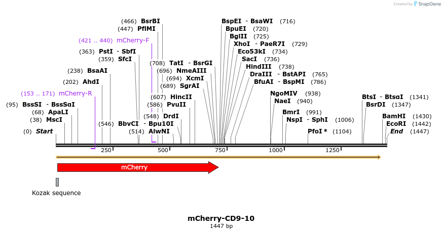 85400_map
