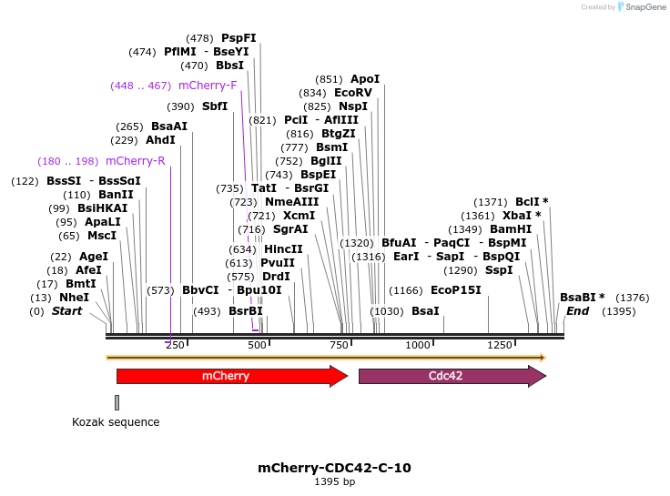 85401_map