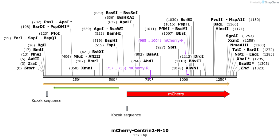 85403_map