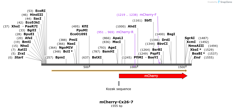 85405_map