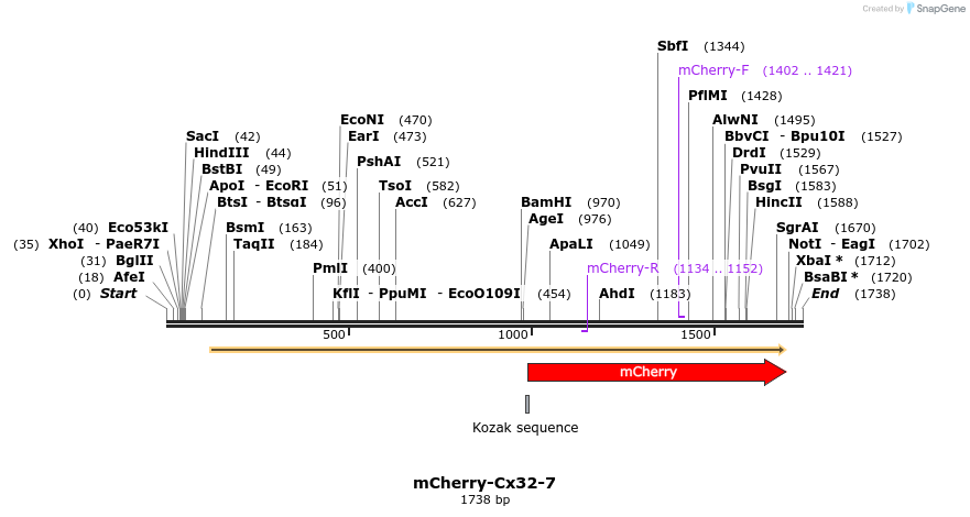 85406_map