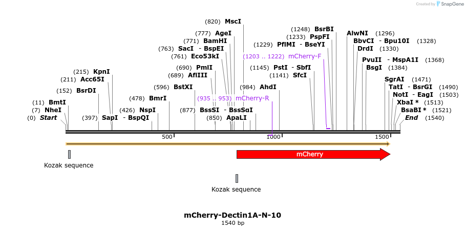 85410_map