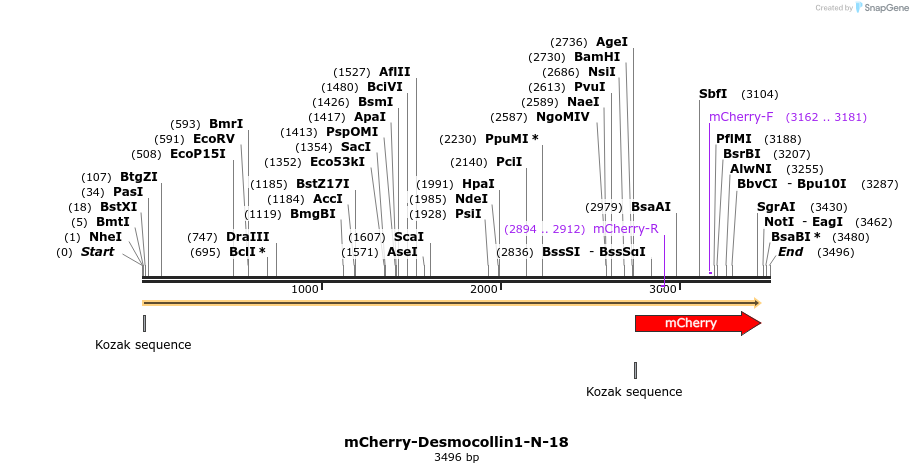 85412_map