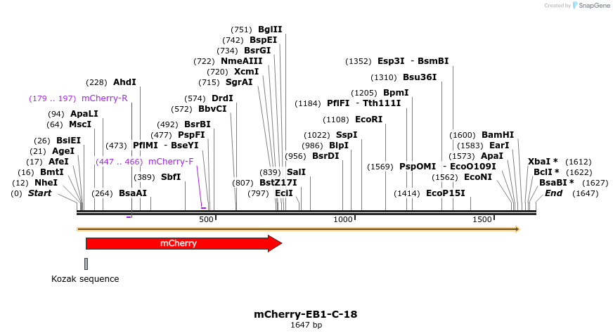 85420_map