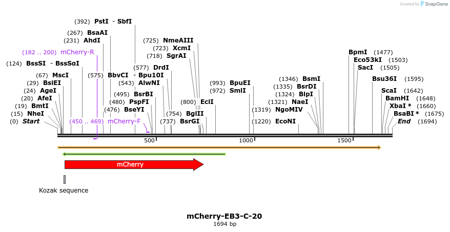 85422_map