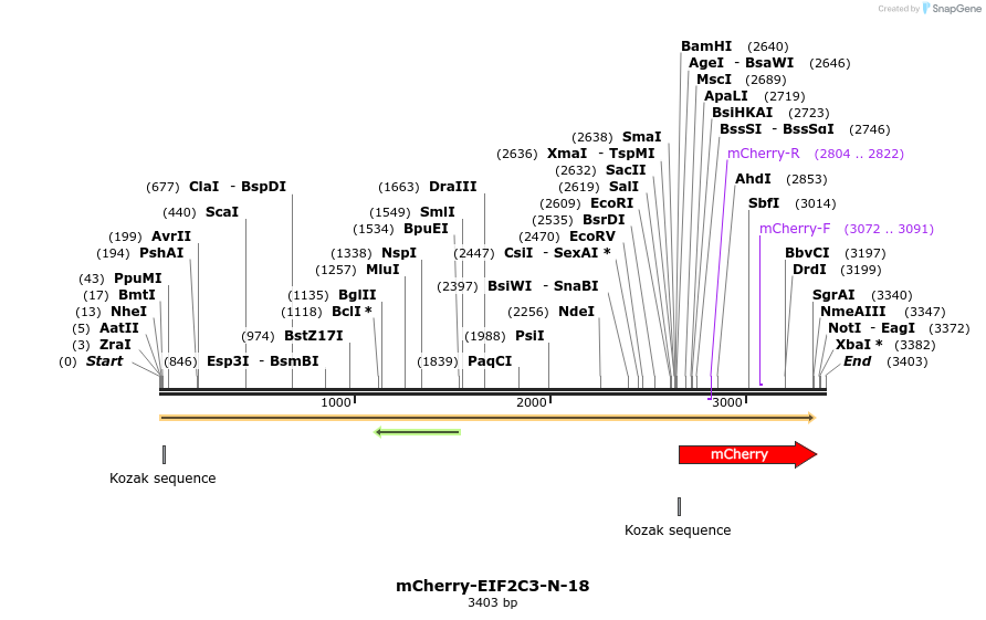 85423_map