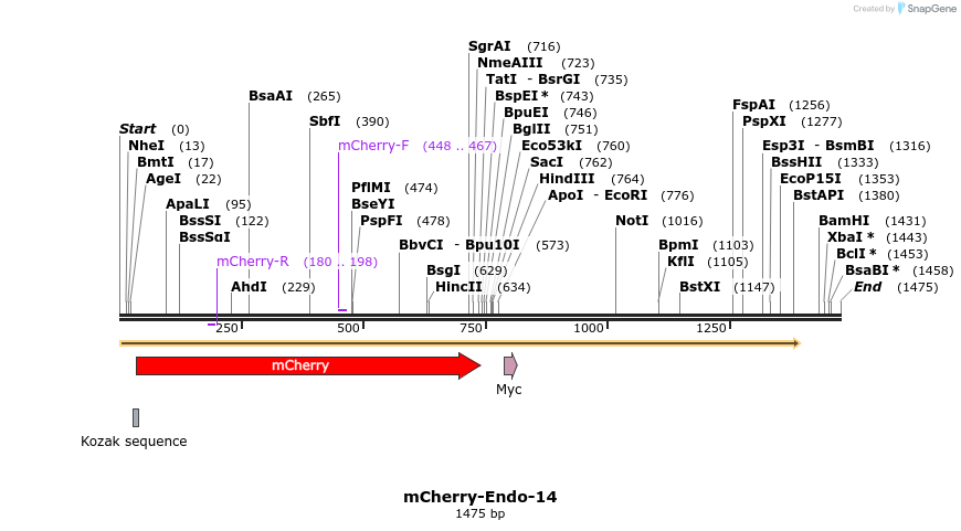 85424_map