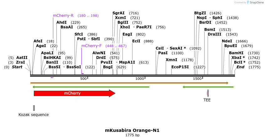 85430_map