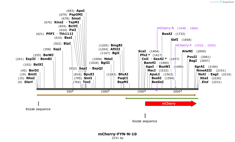 85432_map
