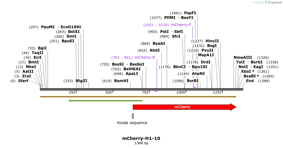 85437_map