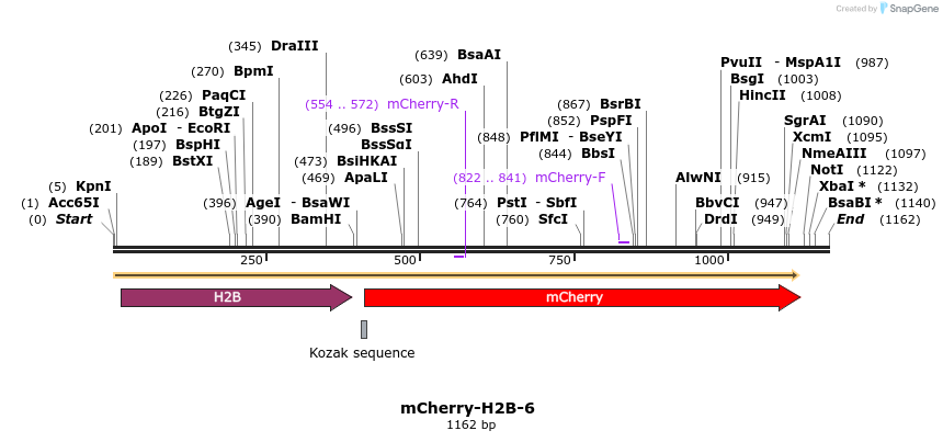 85440_map