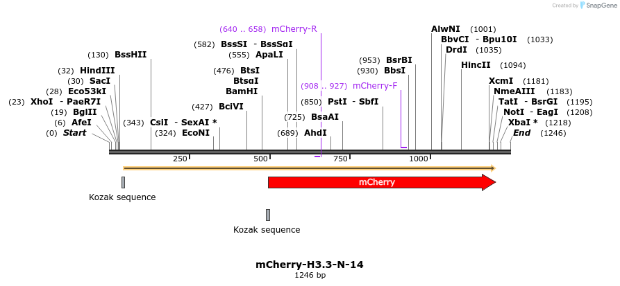 85443_map
