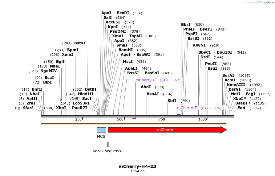 85444_map
