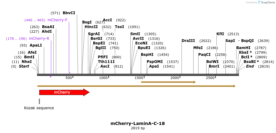85452_map