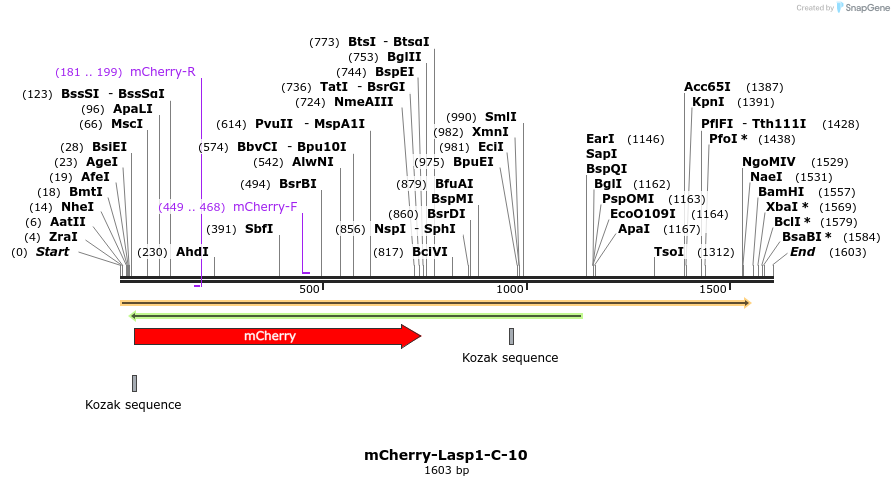 85454_map