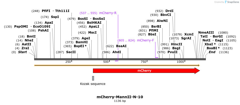 85458_map