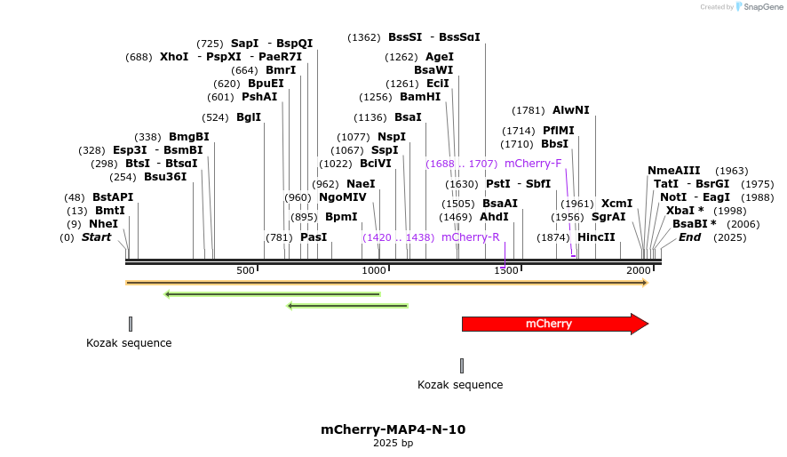 85460_map