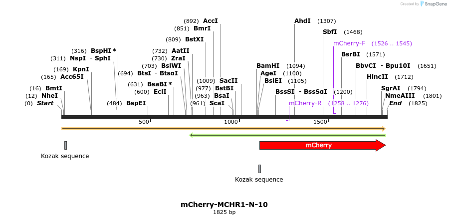 85462_map