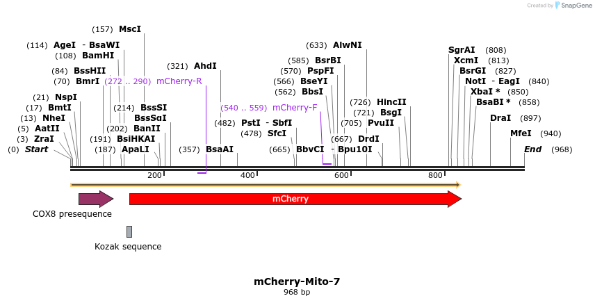85469_map