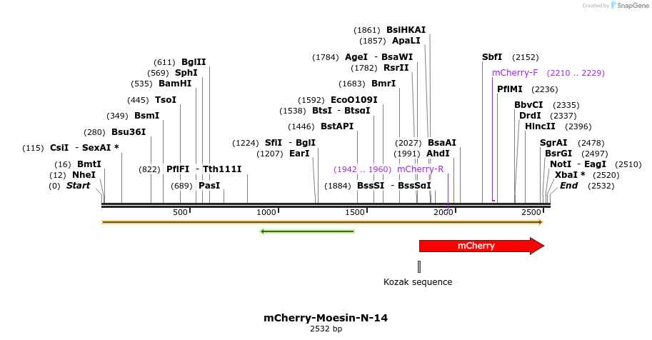 85471_map