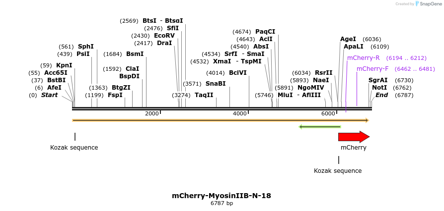 85474_map