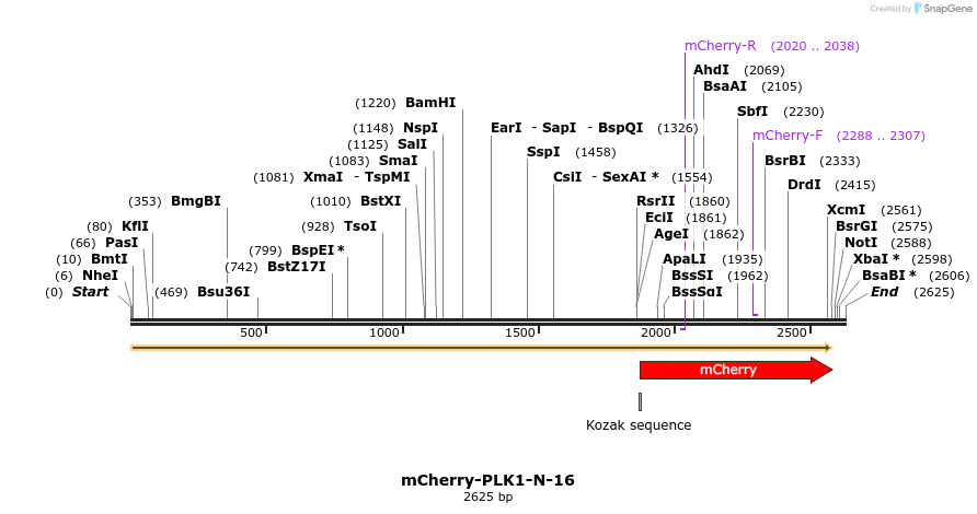 85486_map