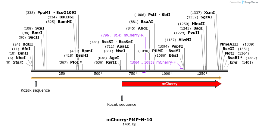 85487_map