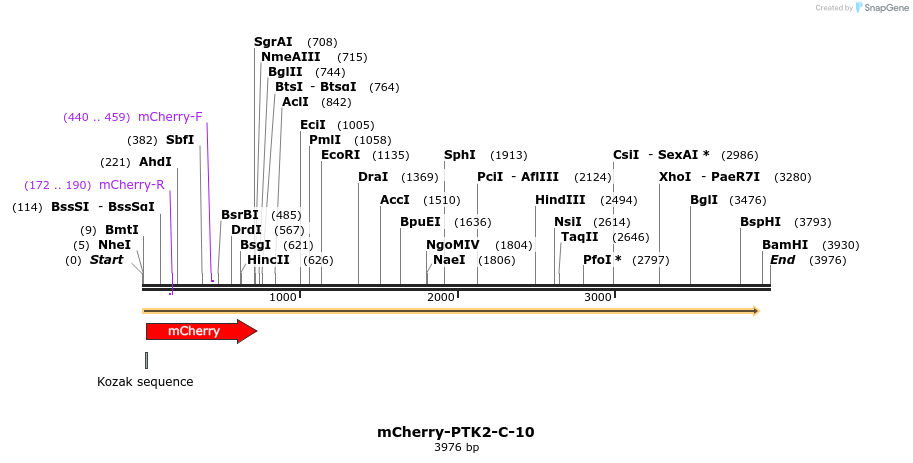 85489_map