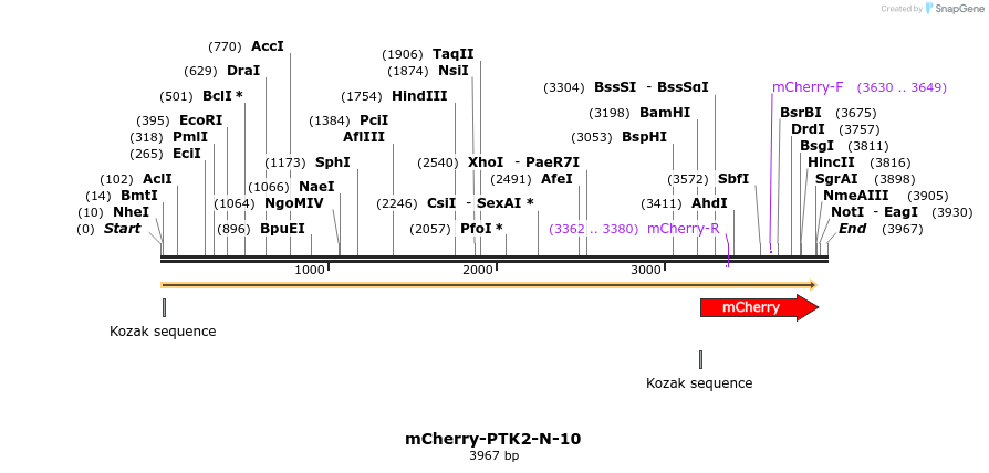 85490_map