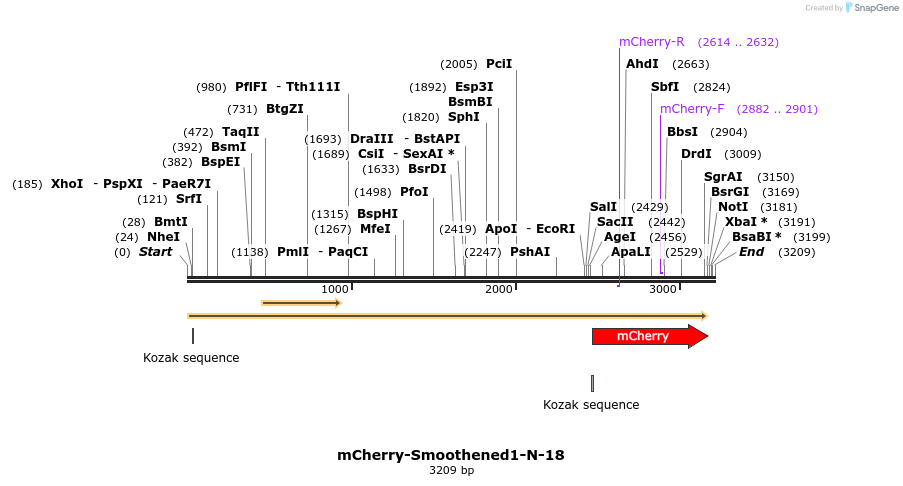 85501_map