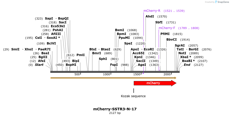 85502_map