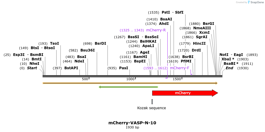 85519_map