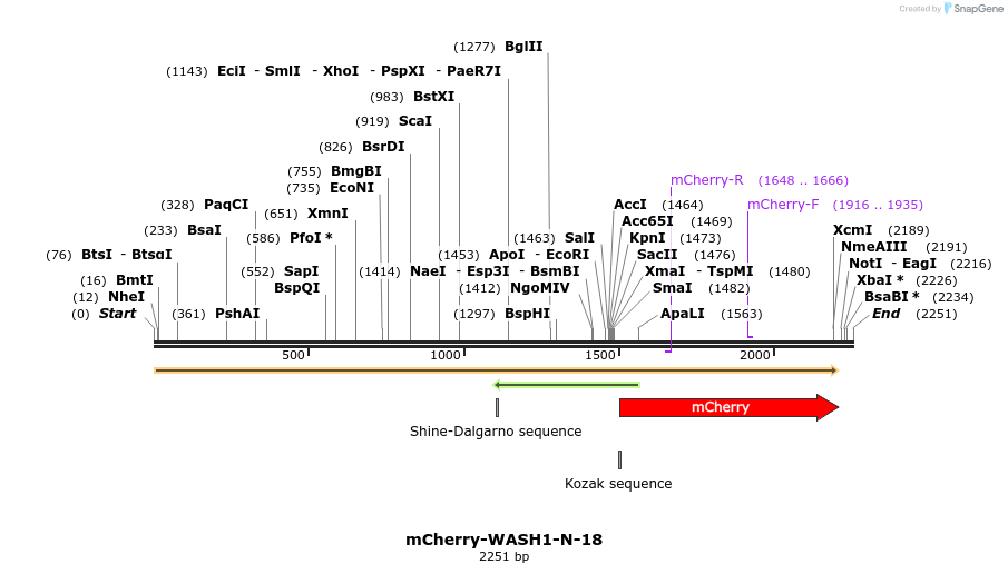 85529_map