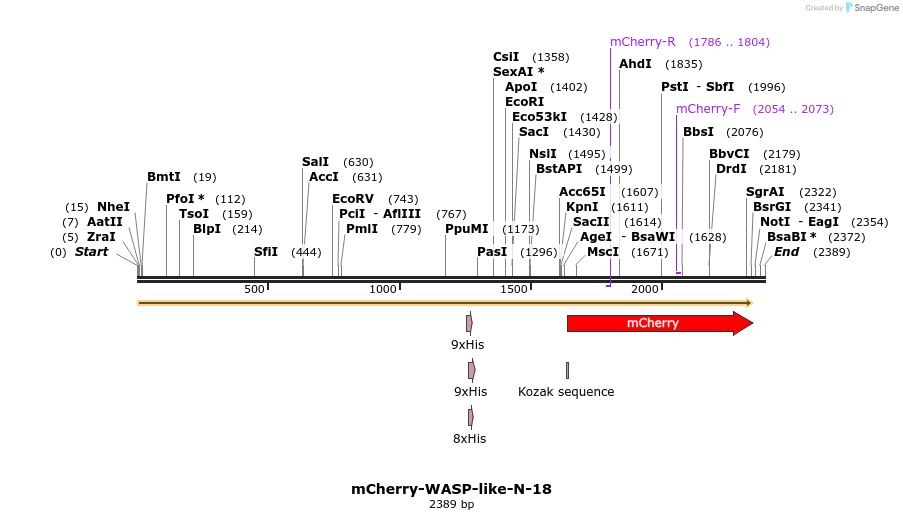 85530_map