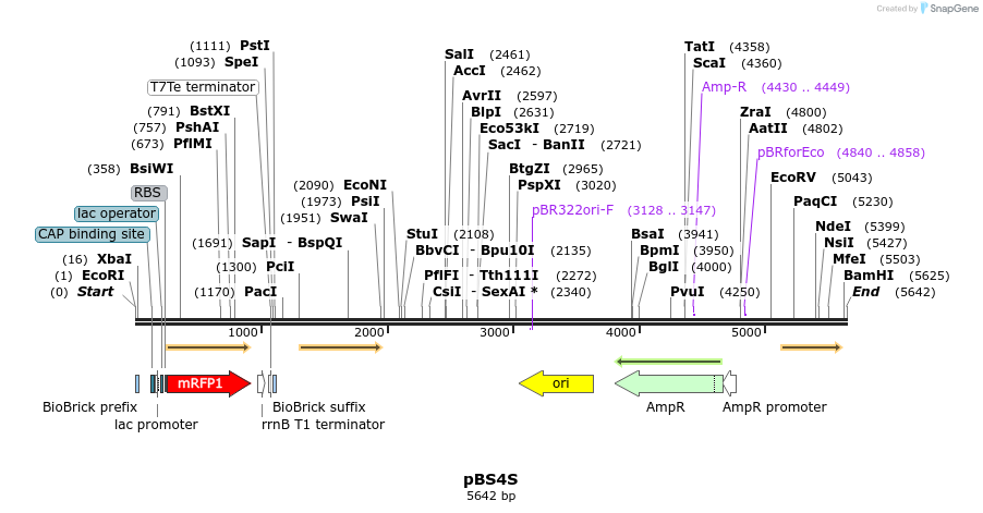 85536_map