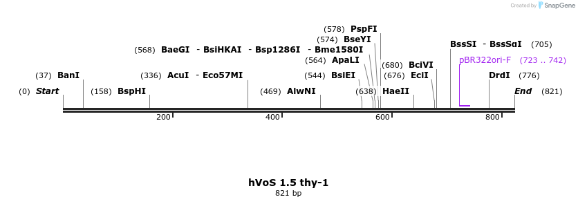 85539_map