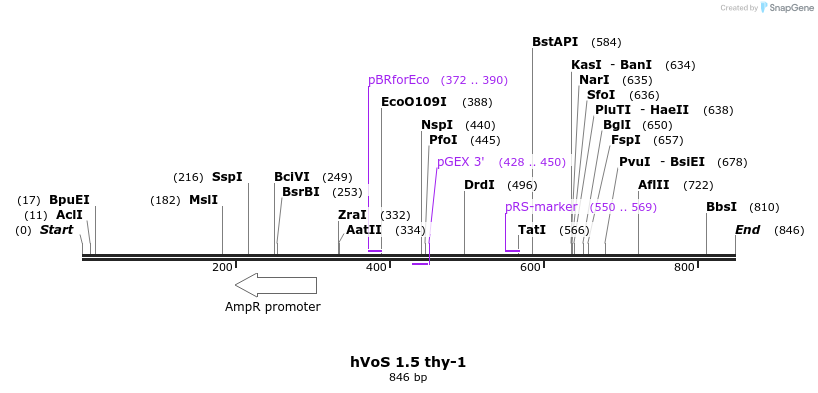 85542_map