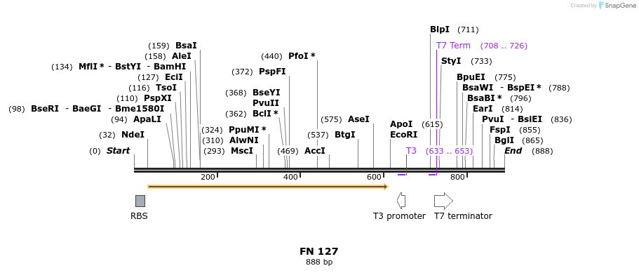 85548_map