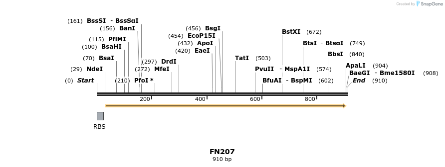 85551_map