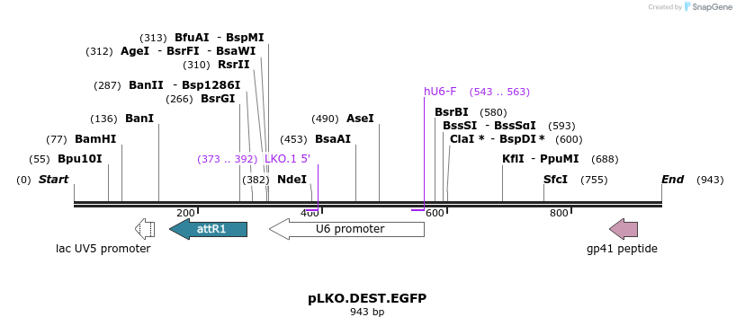 85561_map