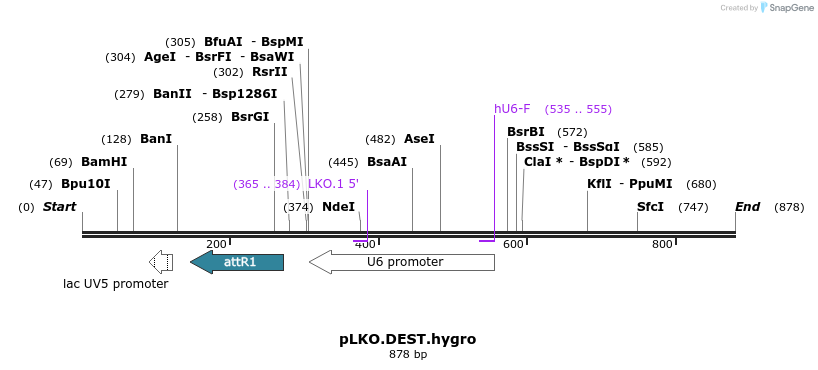 85562_map