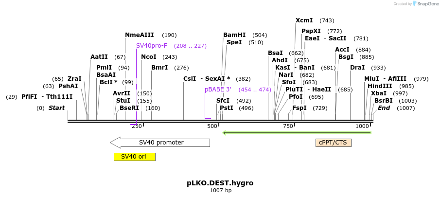 85563_map