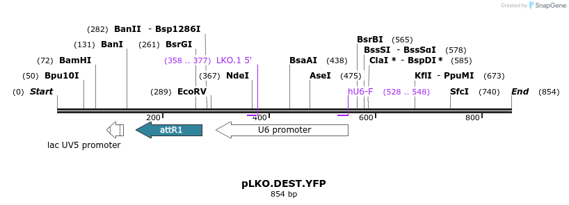 85567_map