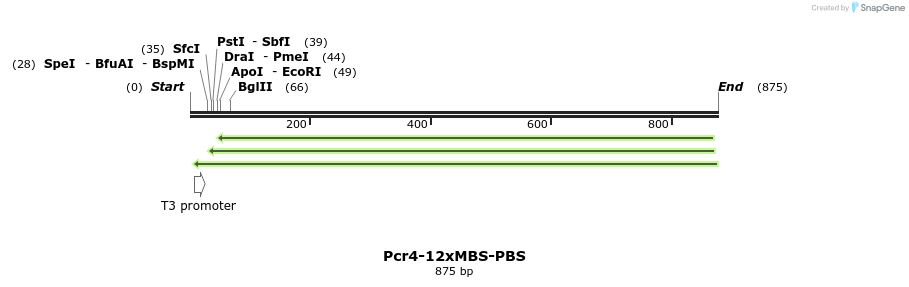 85576_map
