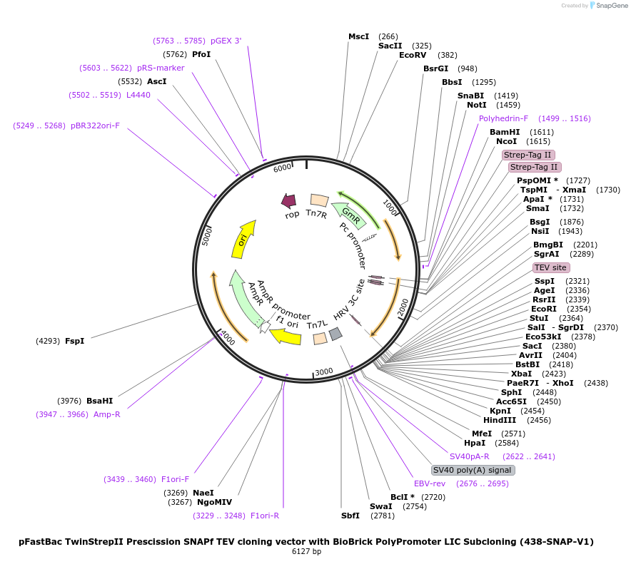 85607_map