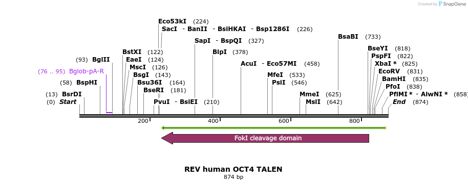 85609_map