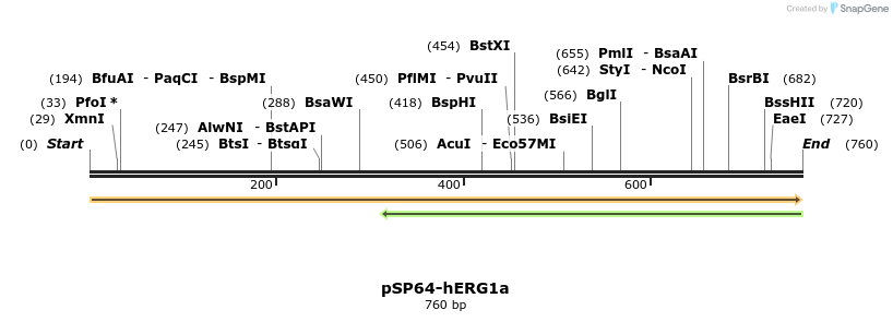 85610_map