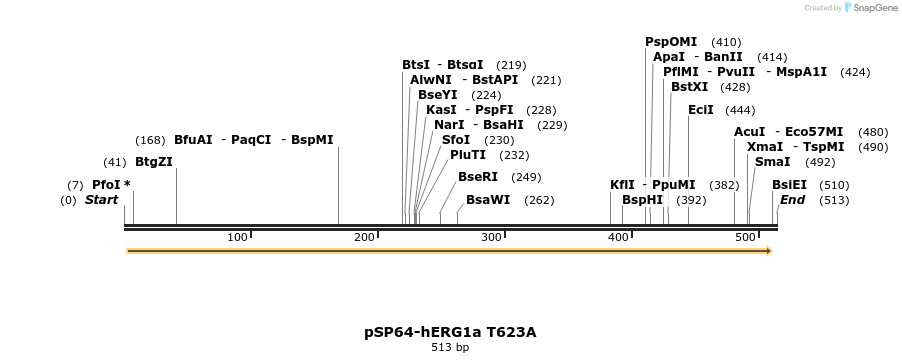 85613_map