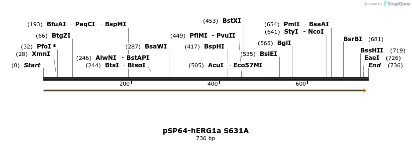 85616_map