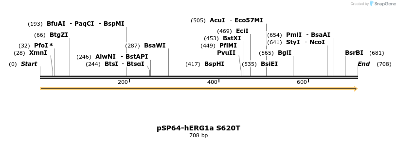 85617_map